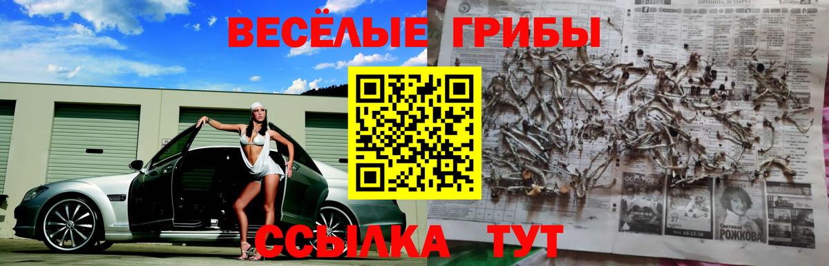 Псилоцибиновые грибы Psilocybe Новый Уренгой