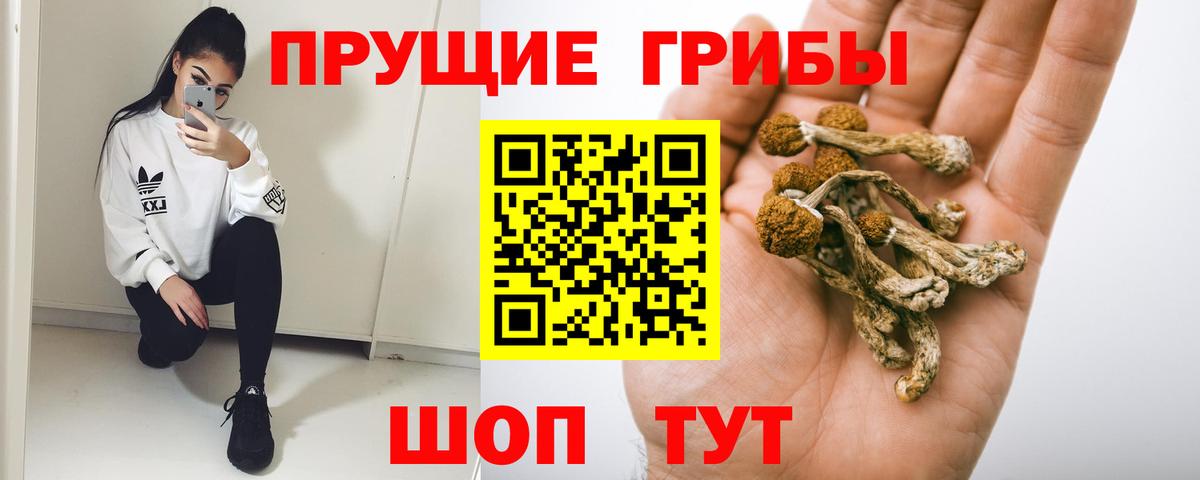 наркотики  Псилоцибиновые грибы мухоморы  Вход с VPN  Галлюциногенные грибы мицелий  Новый Уренгой 